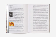 Книга Steve McQueen: Sunshine State, Marsilio Editori