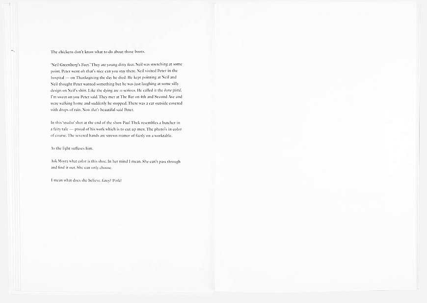 Книга The Shabbiness of Beauty, MACK