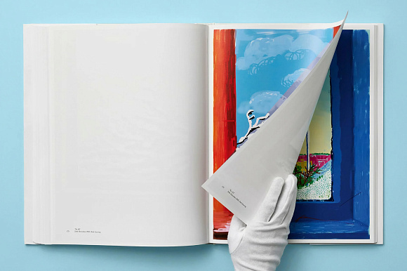 Книга David Hockney. My Window, Taschen