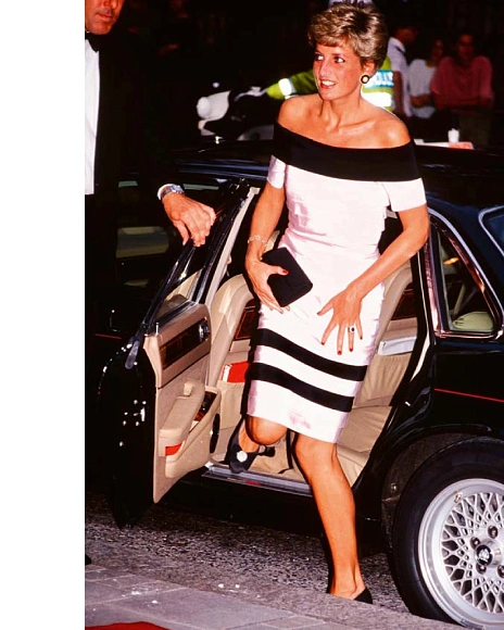 Книга Diana: A Life in Dresses, Acc Art Books