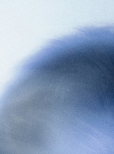 Обои Eclipse 2, Moustache