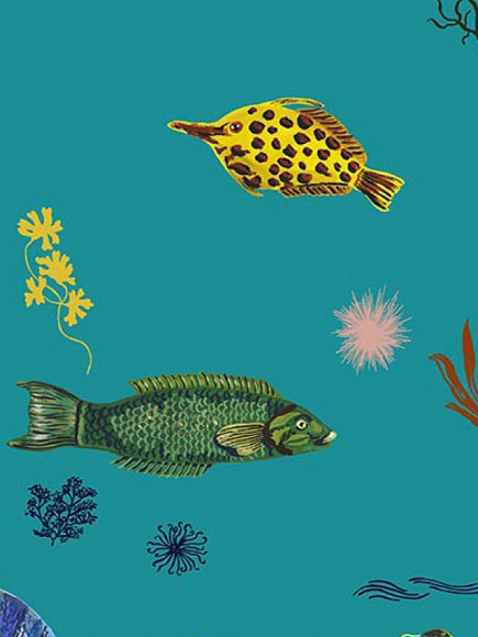 Обои Sous la mer, Moustache