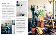 Книга Wild Interiors: Beautiful plants in beautiful spaces, Ryland Peters & Small and CICO Books