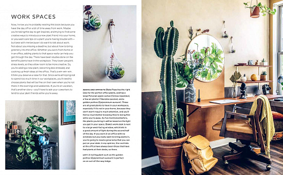 Книга Wild Interiors: Beautiful plants in beautiful spaces, Ryland Peters & Small and CICO Books