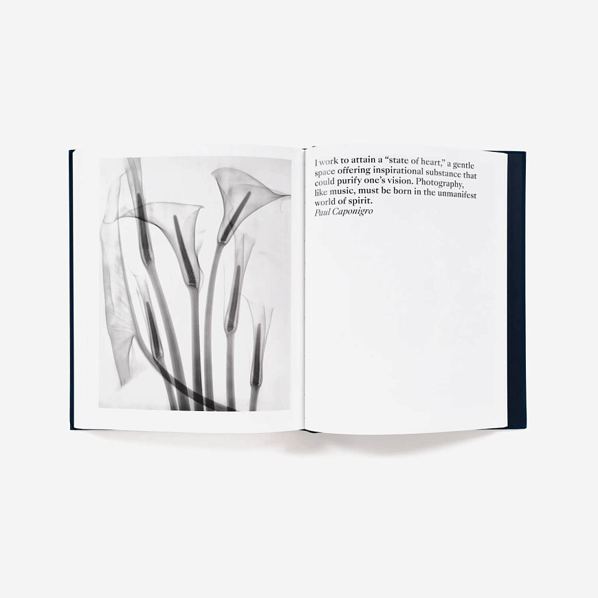 Книга Presence: The Photography Collection of Judy Glickman Lauder, Aperture