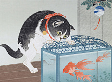 Книга Cats of Japan, Prestel Publishing