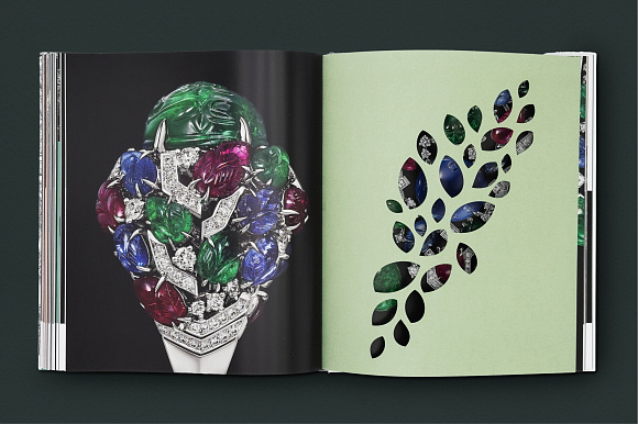 Книга Cartier: Nature Sauvage, Flammarion