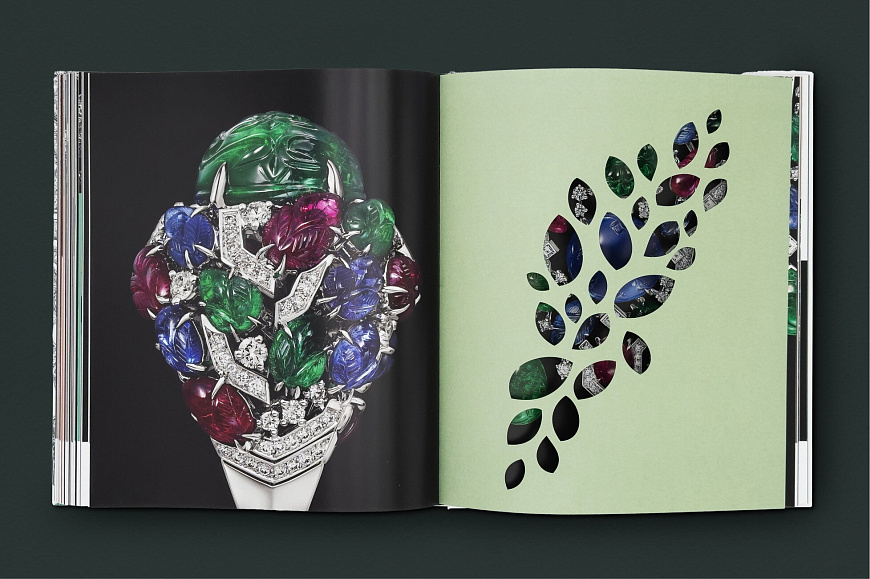 Книга Cartier: Nature Sauvage, Flammarion