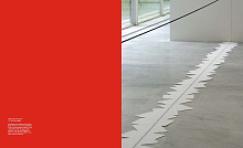 Книга Japan. Body Perform Live, Silvana Editoriale