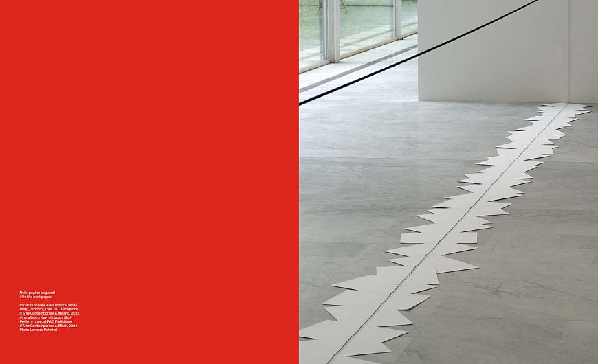 Книга Japan. Body Perform Live, Silvana Editoriale