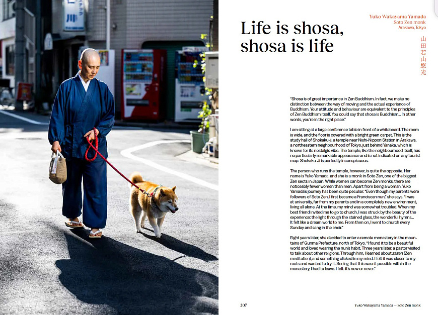 Книга Shosa: Meditations in Japanese Handwork, 