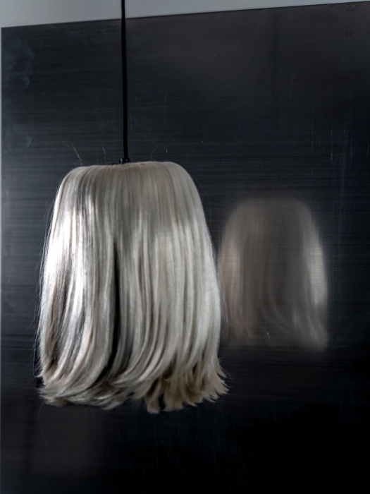 Подвесной светильник Scalp silver pendant lampshade, Gnilmydkcab