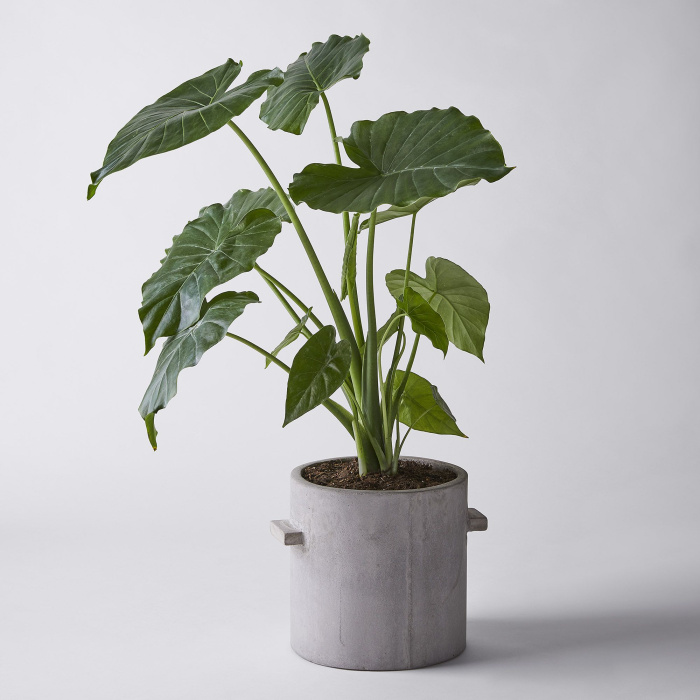 Кашпо Flowerpot Concrete Round Naturel by Marie Michielssen, Serax