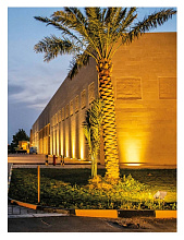 Книга My Friday Drives: Discovering the Letbelah Car Museum, Rizzoli International Publications Inc.