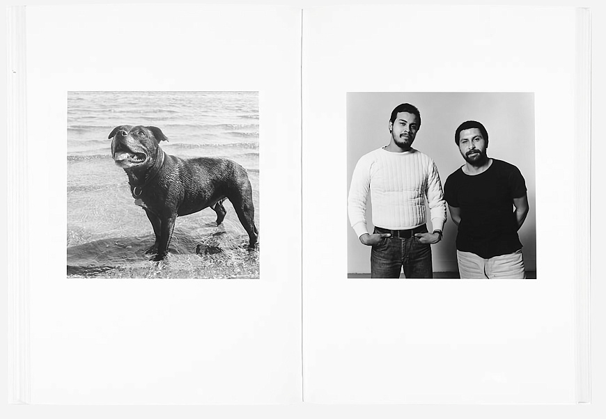 Книга The Shabbiness of Beauty, MACK