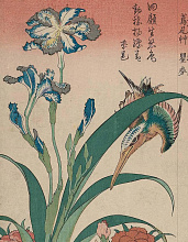 Книга Pictures of the Floating World: An Introduction to Japanese Prints, Abbeville Press