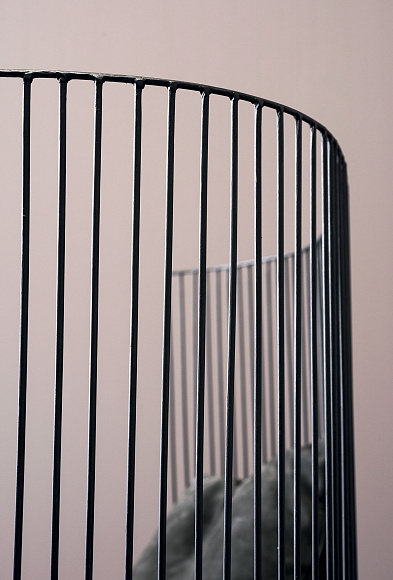 Диван Ginestra, Baxter