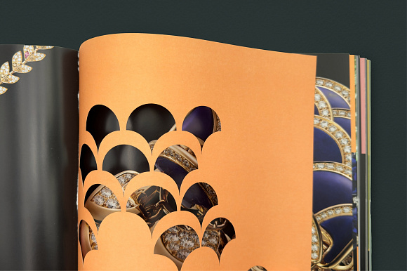 Книга Cartier: Nature Sauvage, Flammarion