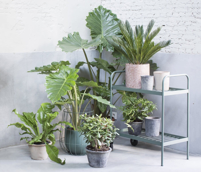 Сервировочная тележка Trolley Army Green, Serax