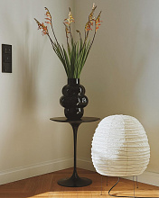 Настольный / напольный светильник Akari 20N, Vitra