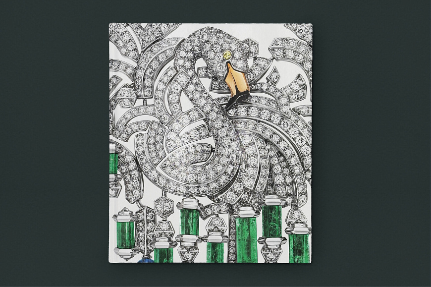 Книга Cartier: Nature Sauvage, Flammarion