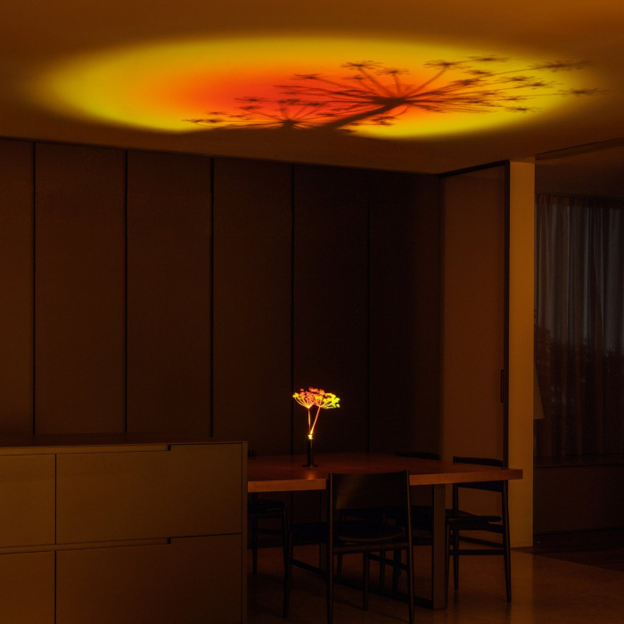 Настольная лампа Halo Mag Bloom, Halo Edition