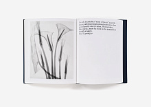 Книга Presence: The Photography Collection of Judy Glickman Lauder, Aperture