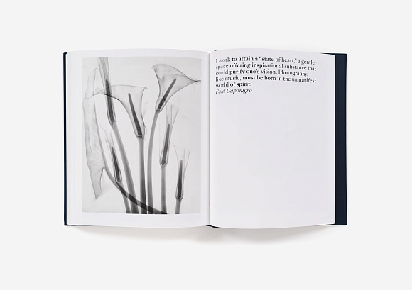 Книга Presence: The Photography Collection of Judy Glickman Lauder, Aperture