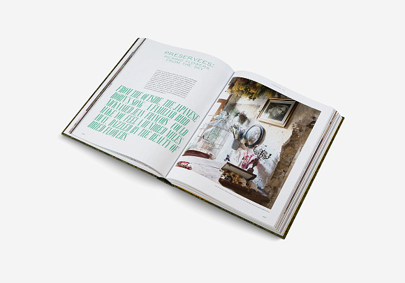 Книга The Beauty of Time Travel, Gestalten