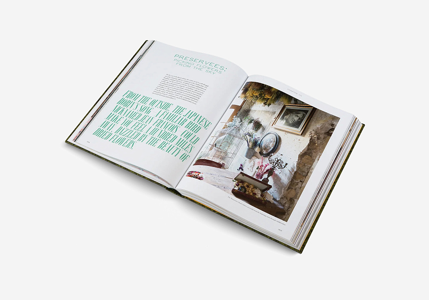 Книга The Beauty of Time Travel, Gestalten