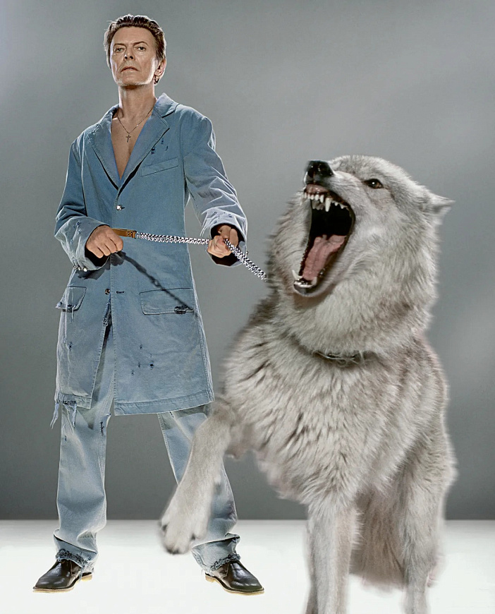 Книга David Bowie: Icon - The Definitive Photographic Collection, Acc Art Books