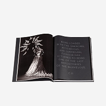 Книга Dior by Yuriko Takagi, Rizzoli International Publications Inc.