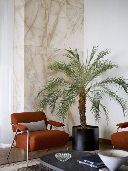 Кресло Stay, Potocco