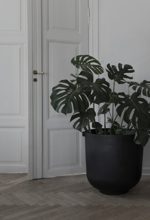 Кашпо Castle, Friends & Founders