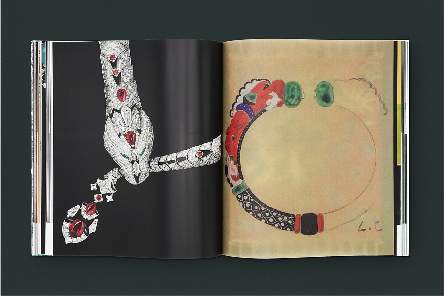 Книга Cartier: Nature Sauvage, Flammarion