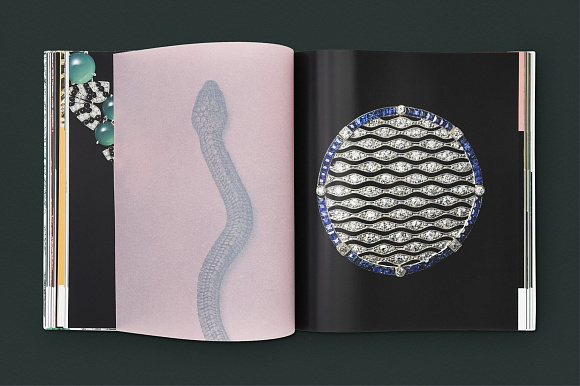 Книга Cartier: Nature Sauvage, Flammarion