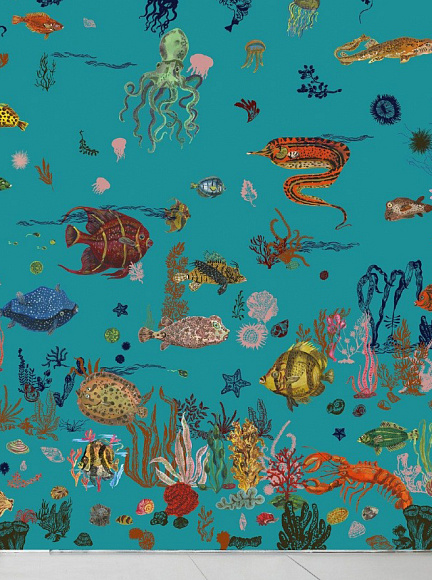 Обои Sous la mer, Moustache