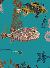 Обои Sous la mer, Moustache