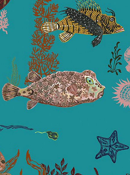 Обои Sous la mer, Moustache