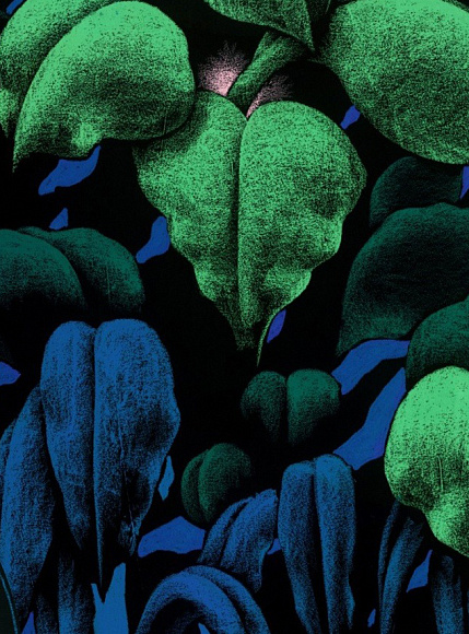 Обои Krabi, Moustache