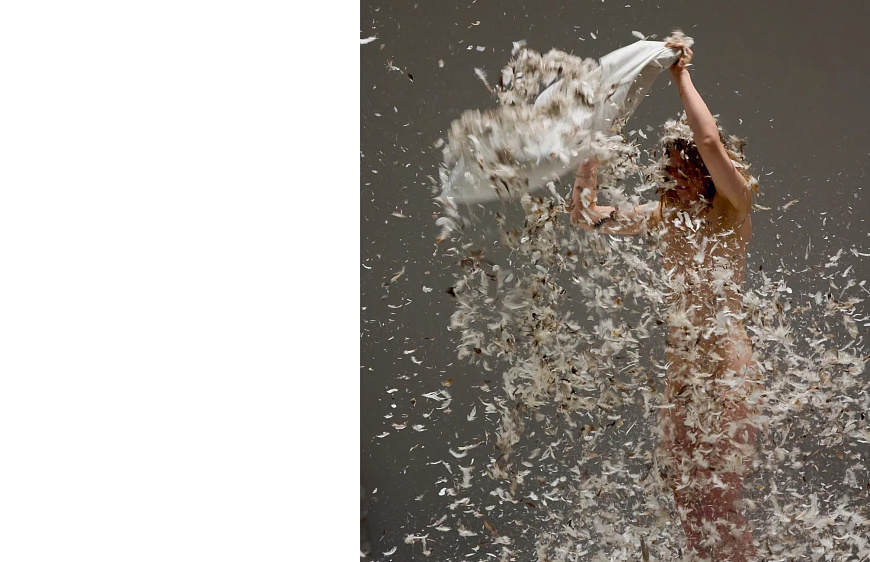 Книга Free Interdisciplinary Performance Lab. Marina Abramovic, Hatje Cantz