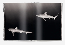 Книга Hawaii: by Olaf Heine, teNeues