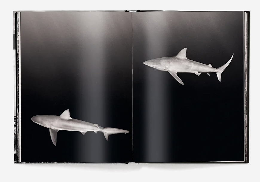 Книга Hawaii: by Olaf Heine, teNeues