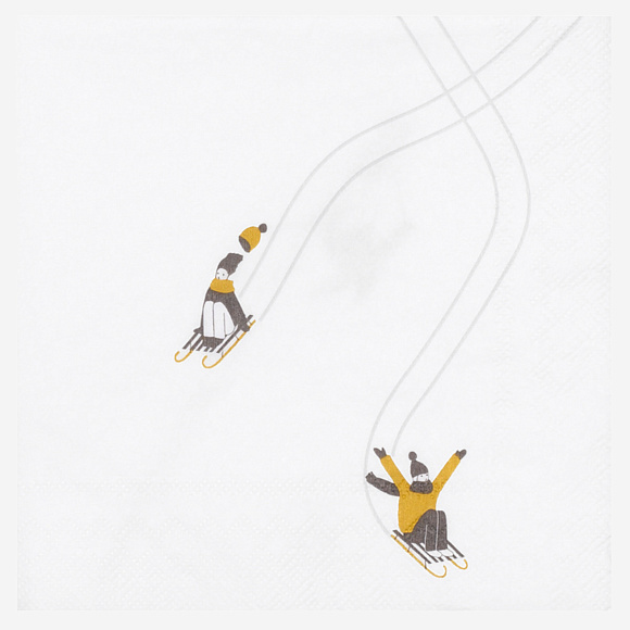 Набор бумажных салфеток Sledging, 25x25 cm, Räder