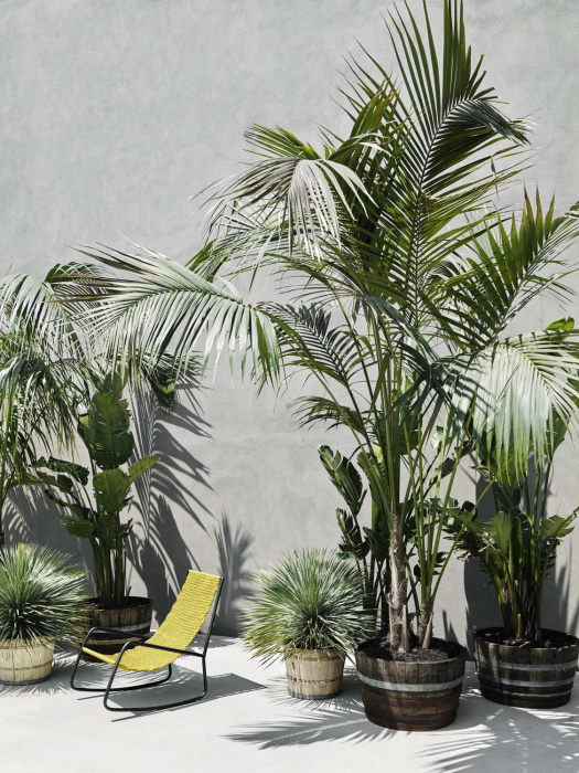 Уличное кресло Flow Outdoor, Living Divani