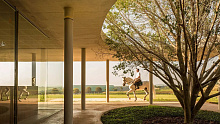 Книга Stables: High Design for Horse and Home, Rizzoli International Publications Inc.