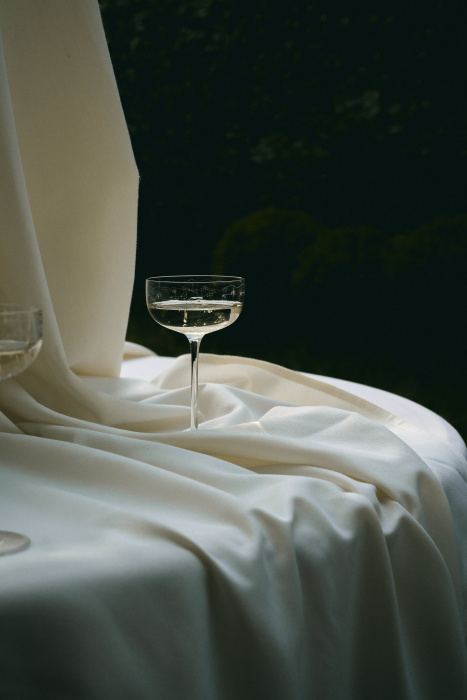 Набор из 4-х бокалов для шампанского Champagne Coupe Anemone Vaniglia Midnight Flowers by Marni, Serax