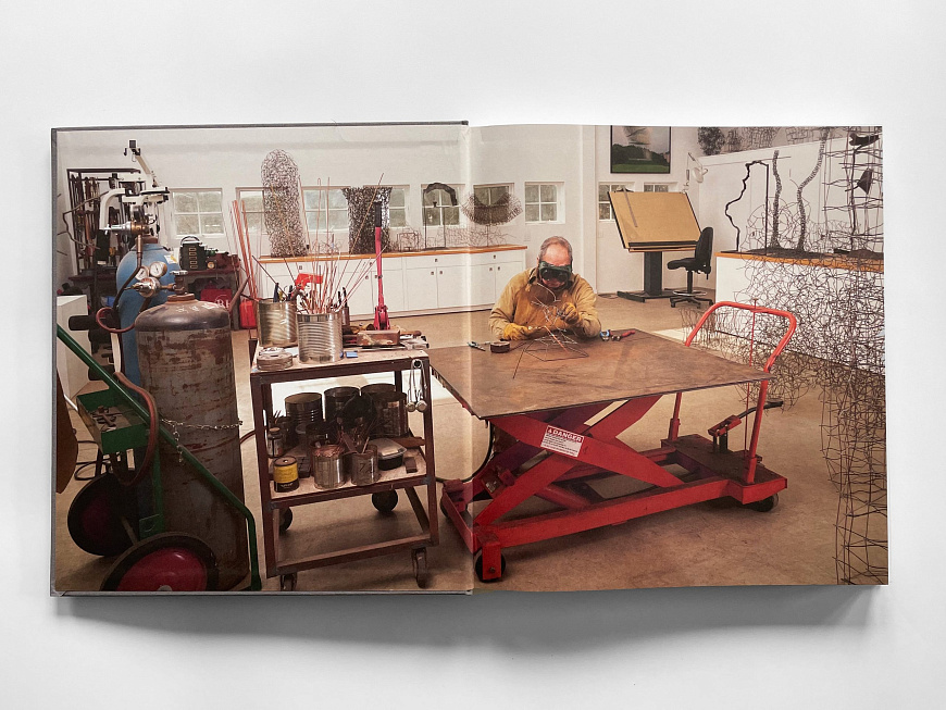 Книга John Pai: Liquid Steel, Rizzoli International Publications Inc.