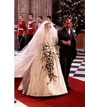 Книга Diana: A Life in Dresses, Acc Art Books