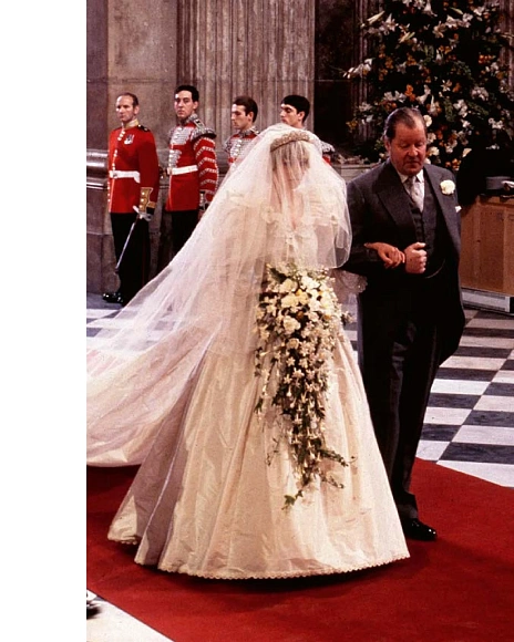 Книга Diana: A Life in Dresses, Acc Art Books